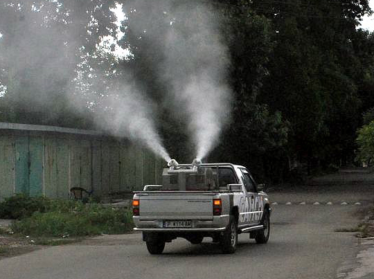 praskane_komari23.jpg